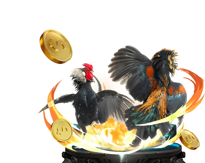 Hướng dẫn chiến lược Bit Casino